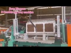 Automatic Apple Tray Making Machine with Stainless Steel Forming Molds