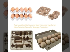 Pulp Moulding Machines and Steel Processing Egg Carton Manufacturing Device for Seamless Production