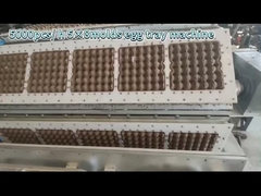 dây chuyền sản xuất khay trứng