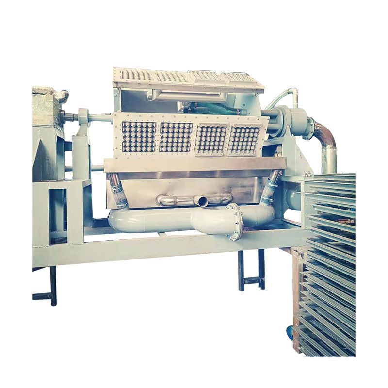 Máy chế tạo hộp trứng thân thiện với môi trường Máy đúc bột giấy đĩa trứng cho các giải pháp đóng gói bền vững