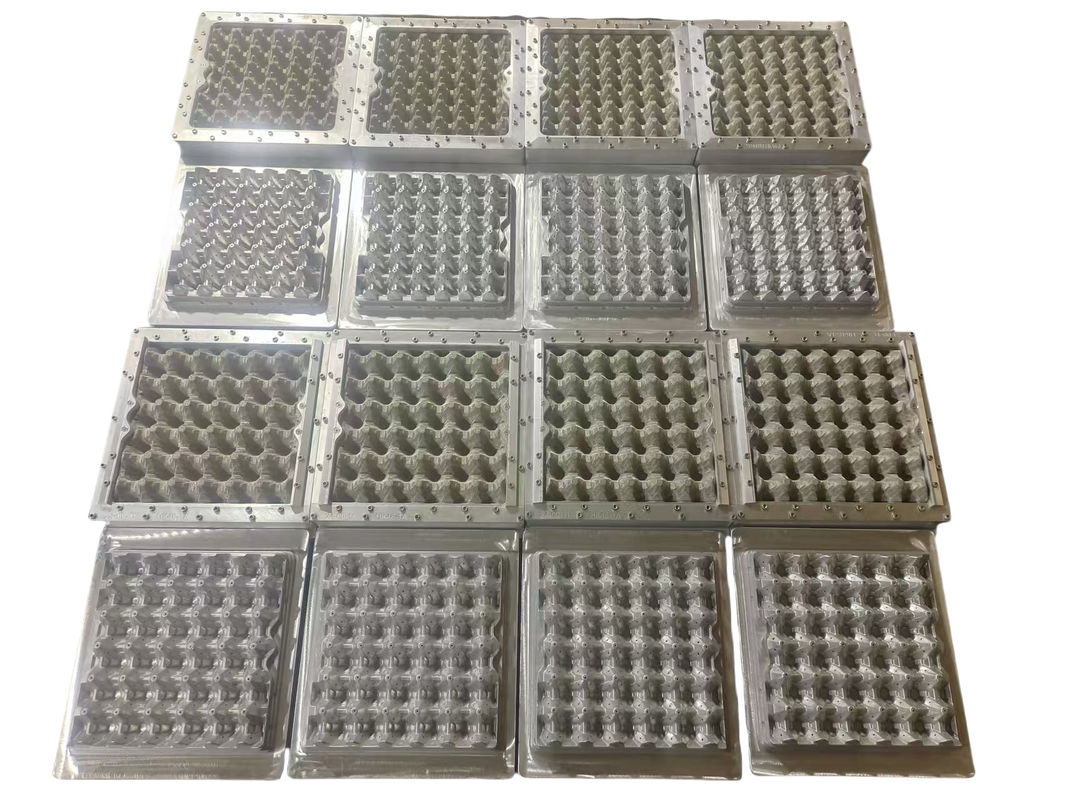 Toàn bộ tự động 5000pcs/h Capacity 5*8 Mold Rotary Forming Model Egg Tray Production Line Máy đúc giấy