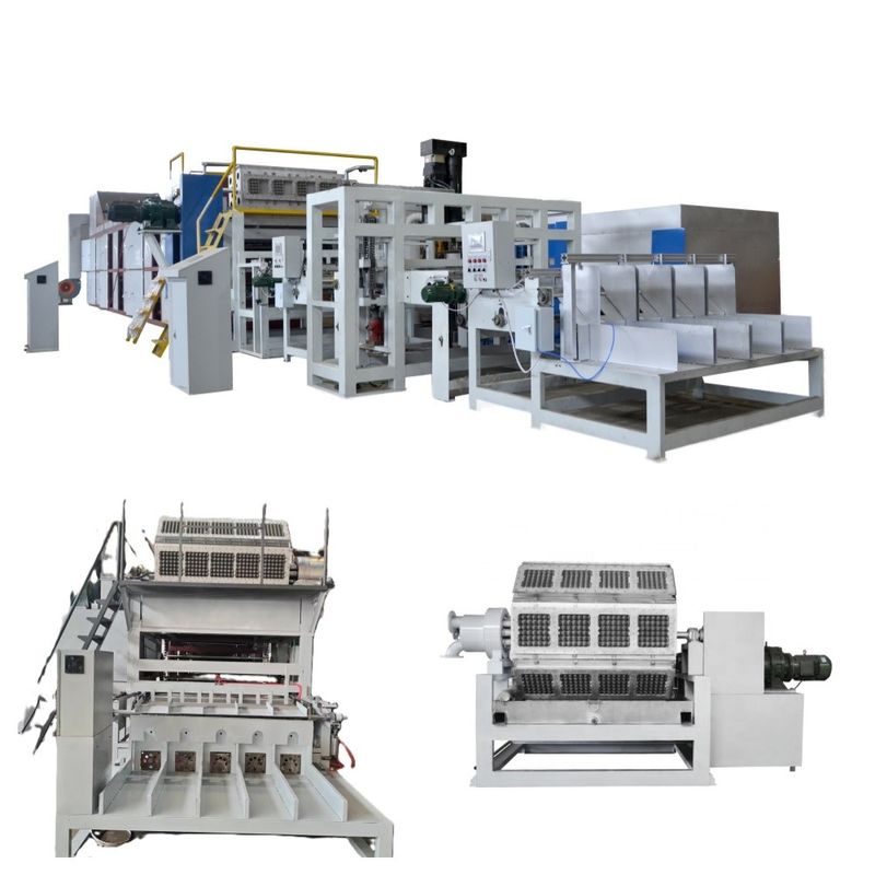 Máy chế tạo khay trứng hoàn toàn tự động được thiết kế cho hiệu suất ổn định và sản lượng nhất quán trong ngành công nghiệp đóng gói trứng