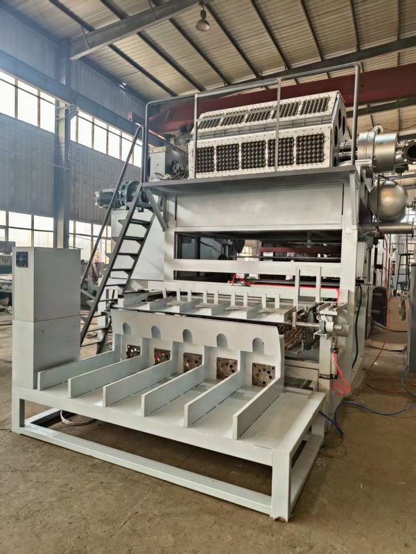 Máy chế tạo khay trứng hoàn toàn tự động được thiết kế cho hiệu suất ổn định và sản lượng nhất quán trong ngành công nghiệp đóng gói trứng