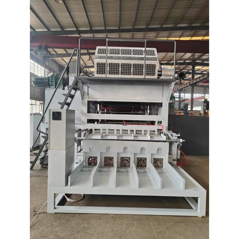 Máy chế tạo khay trứng hoàn toàn tự động được thiết kế cho hiệu suất ổn định và sản lượng nhất quán trong ngành công nghiệp đóng gói trứng