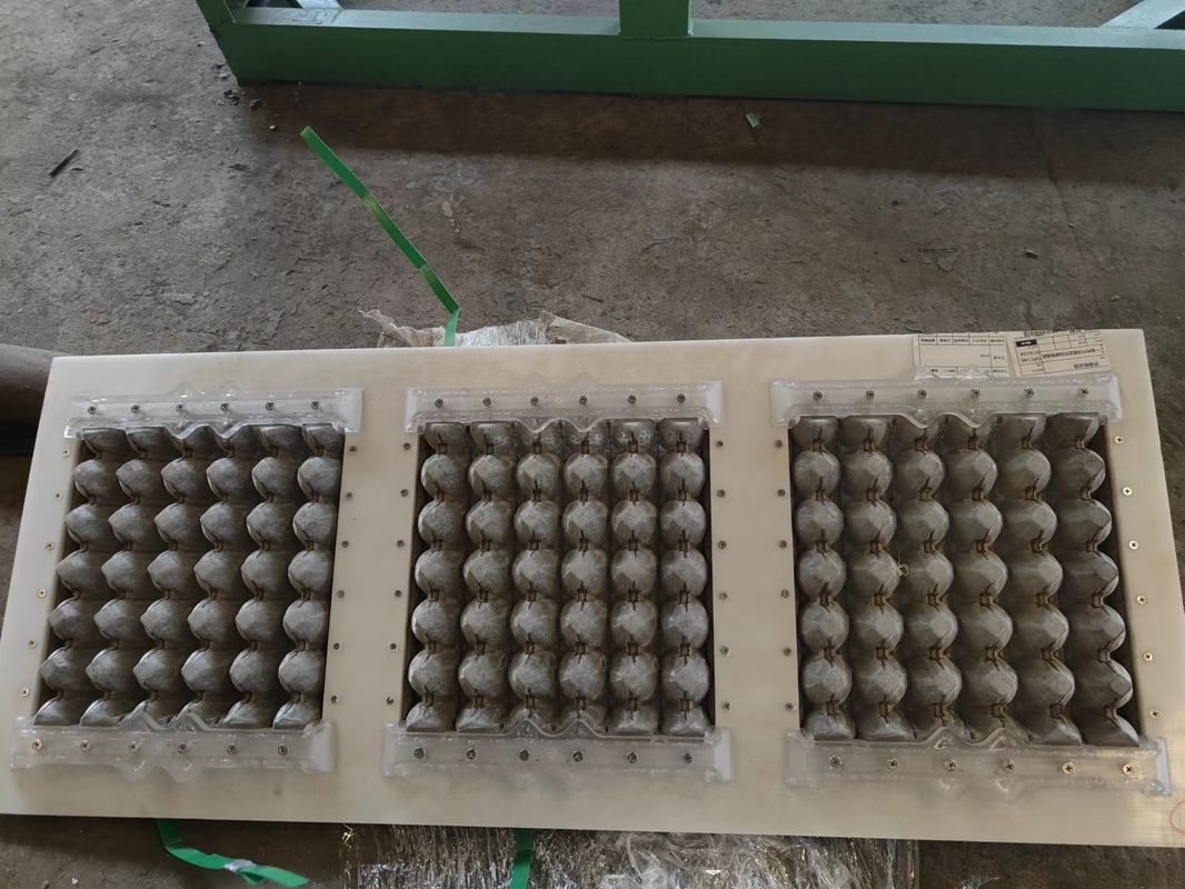 Máy làm khay trứng hoàn toàn tự động | Máy làm khay trứng quay 3 * 4 khuôn Đầu tư thấp, không lãng phí, lợi nhuận cao cho các doanh nghiệp vừa và nhỏ Đầu ra 2000 chiếc / h