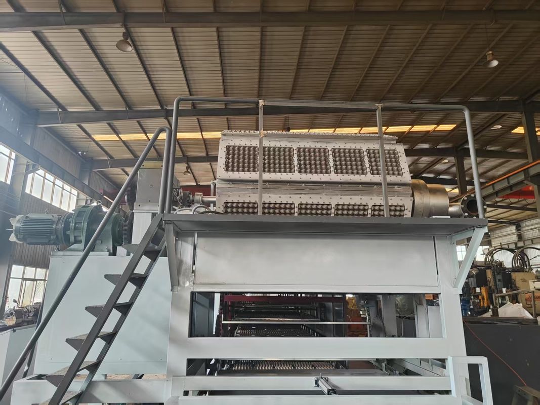 Máy đóng gói khay trứng hoàn toàn tự động 5 * 8 Mold Capacity Full Automatic Egg Tray Packaging Machine / Pulp Moulding Equipment / Lưới sản xuất khay trứng với bảng điều khiển cảm ứng PLC