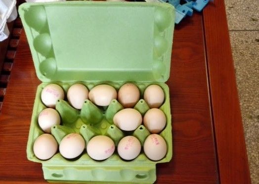 Máy làm khay đựng trứng bằng giấy Công suất nhỏ Lắp đặt thuận tiện Dây chuyền sản xuất khay đựng trứng để làm thùng trứng