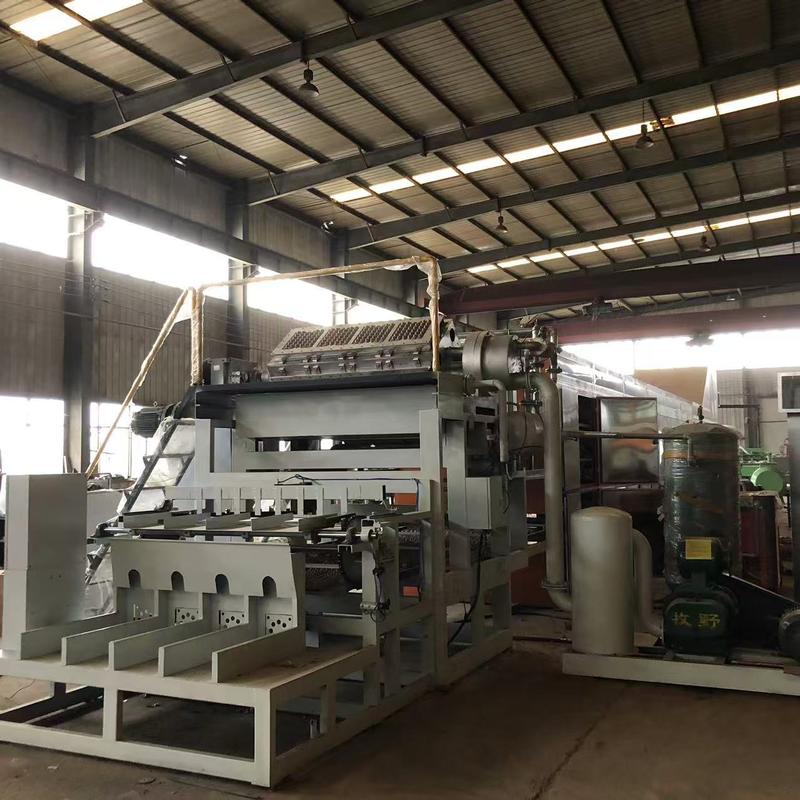 3000pcs / h 4 + 4 khuôn Máy sản xuất khay trứng tự động Sử dụng bột giấy tái chế để tạo ra nhiều loại khay trứng và hộp đựng được kiểm soát bởi PLC