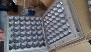 Đường dây sản xuất khay giấy loại xoay cho hộp trứng / khay táo 4000pcs / h