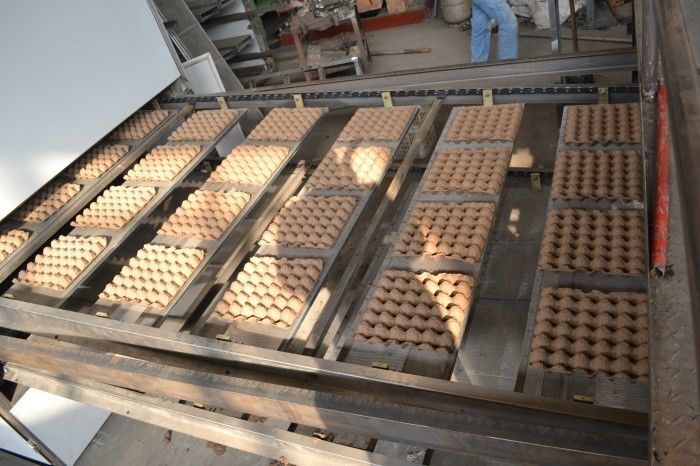 Pulp Molding 6 * 8 khuôn 5000-6000pcs / giờ Máy chế tạo khay trứng tự động