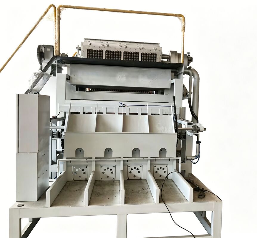 WANYOU 4*4 Molds Rotary Egg Tray Production Line Egg Tray/Carton Machine 2500-3000 pcs/h Recycled Paper Pulp Molding for Serbian Poultry Farm