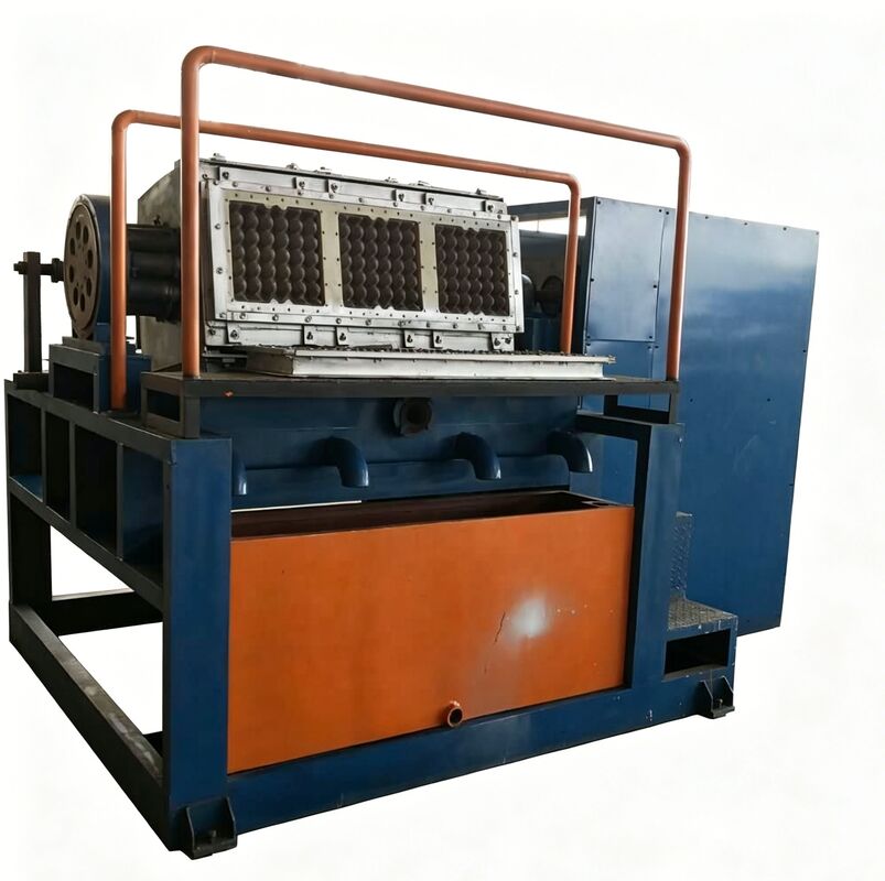 Máy làm khay trứng hoàn toàn tự động | Máy làm khay trứng quay 3 * 4 khuôn Đầu tư thấp, không lãng phí, lợi nhuận cao cho các doanh nghiệp vừa và nhỏ Đầu ra 2000 chiếc / h
