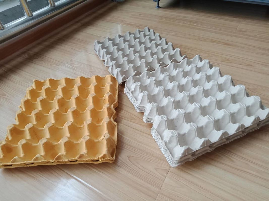 Dây chuyền sản xuất máy ép bột giấy ép nóng Dây chuyền sản xuất khay trứng với van Đức