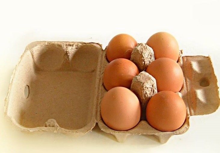 2 khuôn giấy bột trứng khay làm máy loại tương tự dễ vận hành