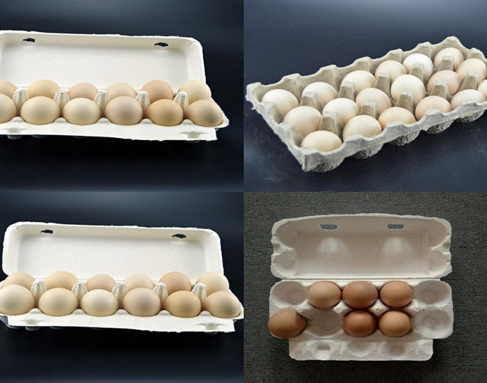 Đường dây sản xuất đĩa trứng giấy bột tự động, Máy chế tạo hộp trứng dễ vận hành