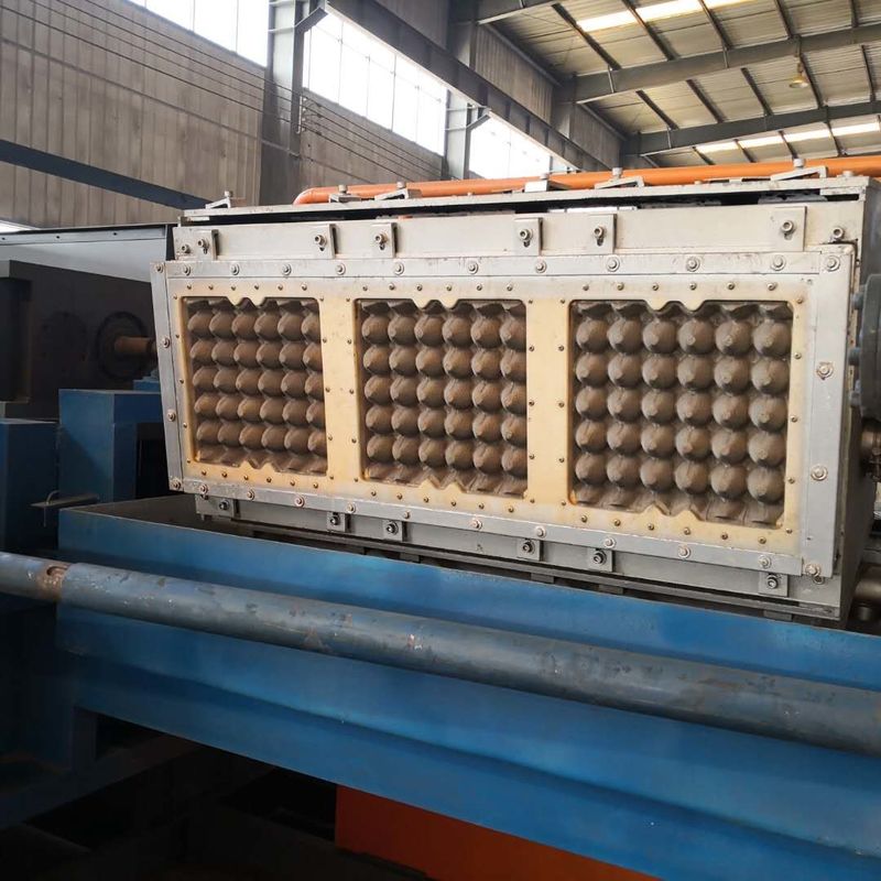 Dây chuyền sản xuất khay trứng 295 * 295mm Khuôn định hình nhôm Máy làm khay Apple
