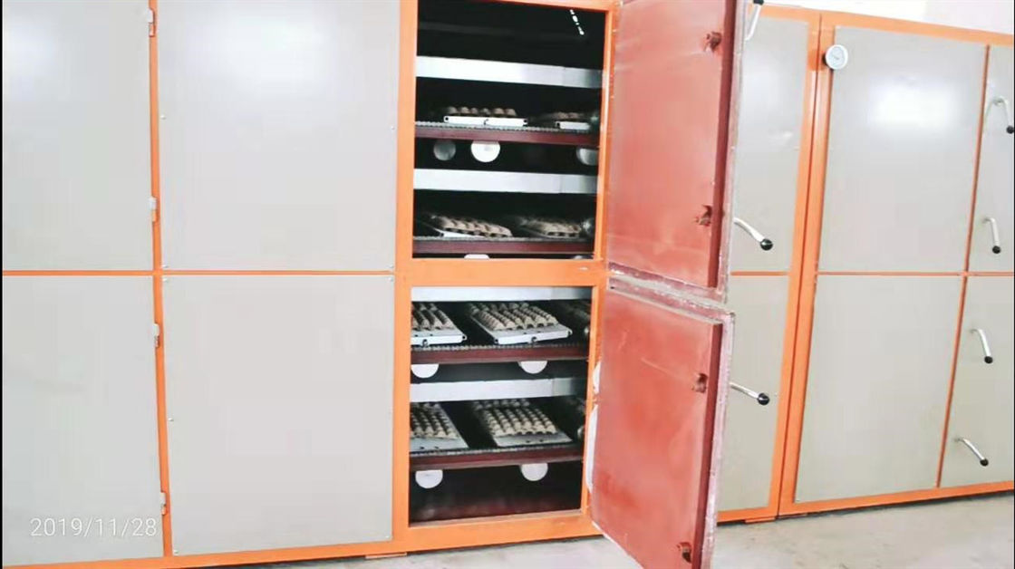 6000pcs/Hour Wood Pulp Paper Tray Forming Machine cho 6 công nhân