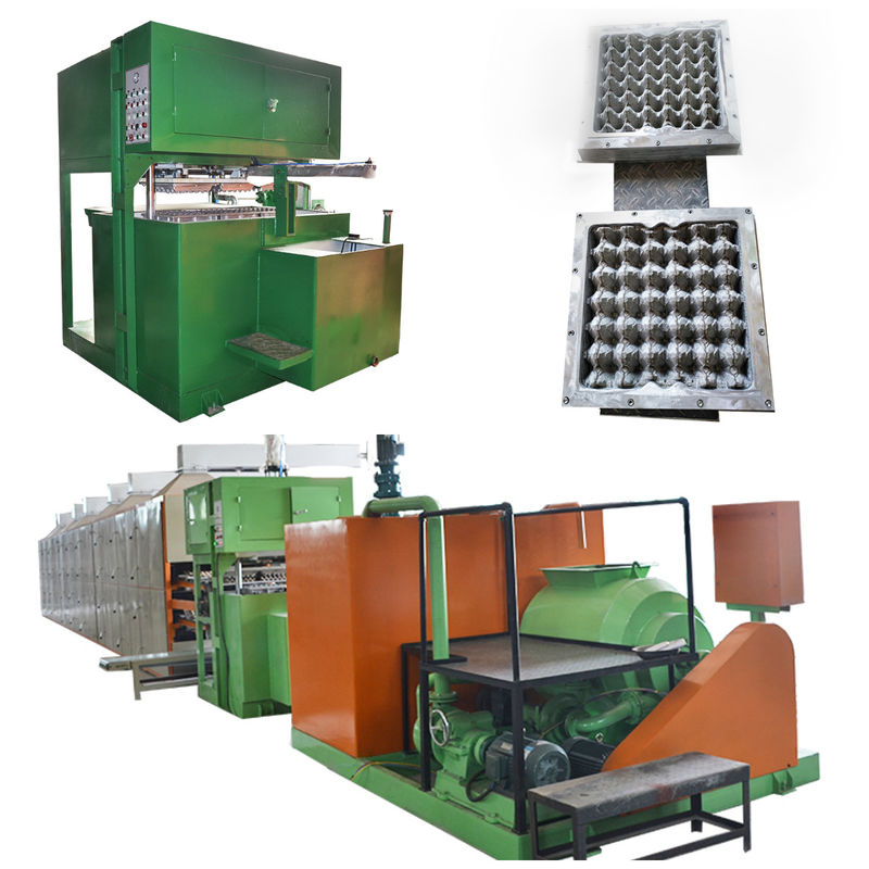 Máy chế tạo khay giấy bột giấy với hỗ trợ kỹ thuật trực tuyến