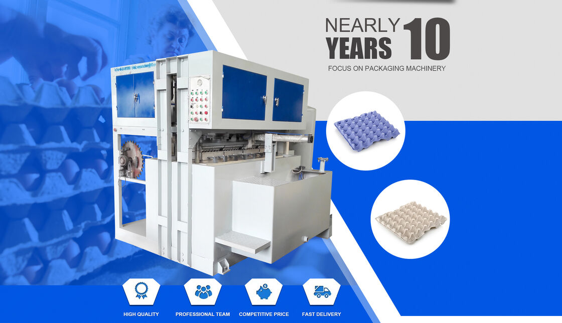 Máy chế tạo khay giấy bột giấy với hỗ trợ kỹ thuật trực tuyến
