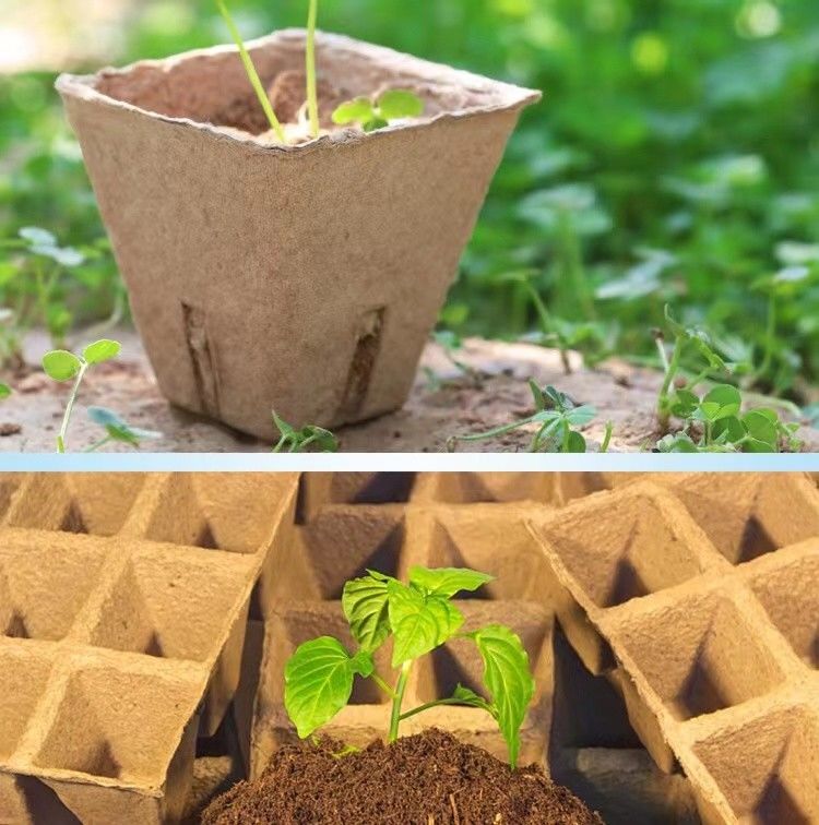 Máy chế tạo đĩa trứng giấy giấy thải bột cho trang trại gà Công suất sản xuất nhỏ