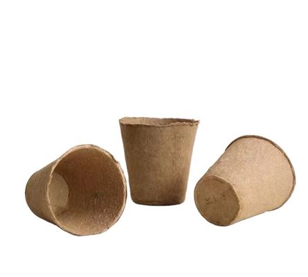 Đường dây sản xuất khay trứng tùy chỉnh với máy sấy dây chuyền vận chuyển gạch cho các thùng hộp cũ