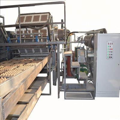 3000 chiếc / h Máy làm hộp trứng giấy tái chế Loại quay tốc độ cao