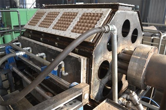 Wine Tray / Shoe Tray / Egg Tray Production Line Rotary Forming Type Thiết kế nhỏ gọn