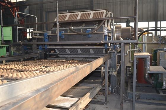 Máy chế tạo hộp trứng tự động / Máy đúc bột giấy với máy bơm chân không