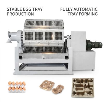 Máy làm khay đựng trứng với công suất 10.000 chiếc/h, hệ thống xếp chồng tự động và đầu vào giấy tái chế để sản xuất khay bột giấy hiệu quả