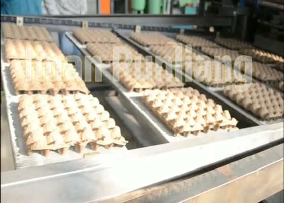 Dòng sản xuất khay trứng bột tái chế có dung lượng lớn