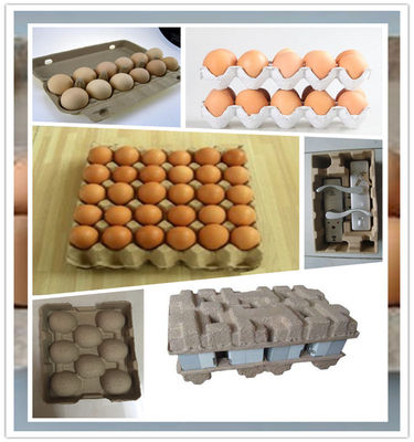 Máy đựng trứng giấy thải tái chế / Máy đựng giấy trứng tái chế