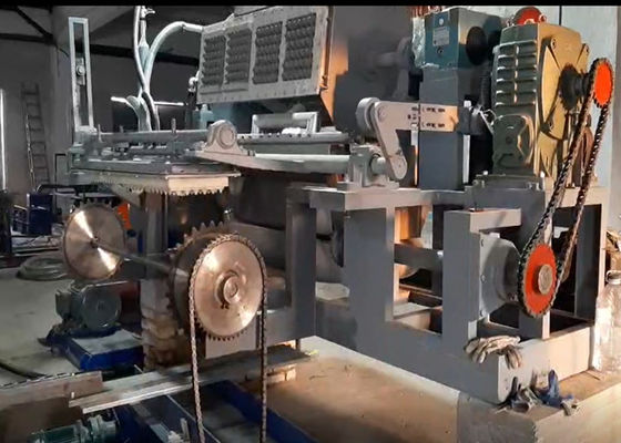Máy đúc bột nhỏ 200KW máy chứa trứng tự động cho doanh nghiệp gia đình
